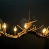 Design antler lamp