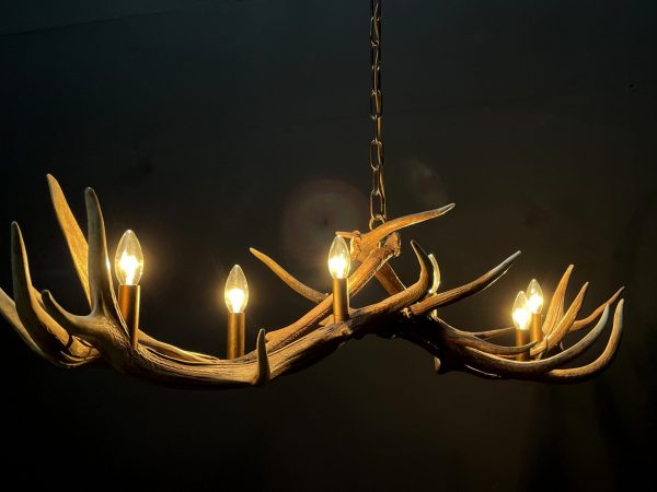 Design antler lamp