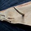 Antler Coat rack