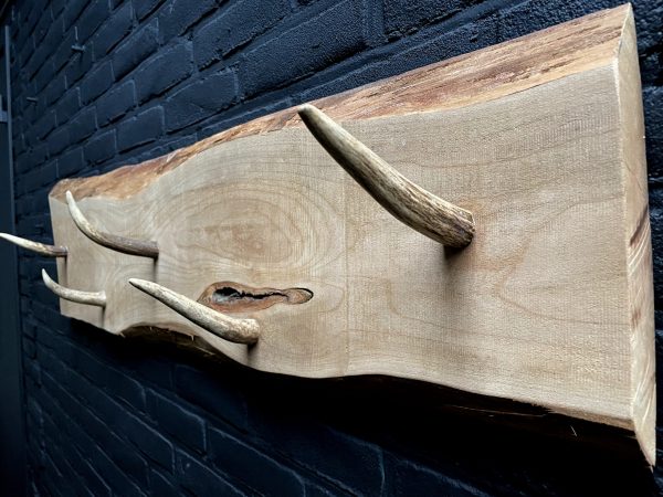 Antler Coat rack