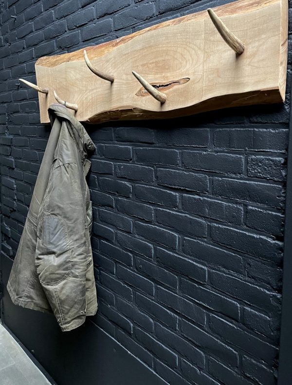 Antler Coat rack