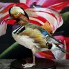 Taxidermy mandarin duck