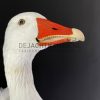 Taxidermy head of a goose