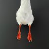Taxidermy back part of a goose