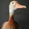 Mounted tree duck
