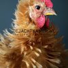 Stuffed chicken, Cochin curly feather hen