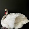 Ornate stuffed mute swan with chick