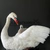 Ornate stuffed mute swan with chick