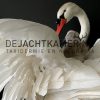 Ornate stuffed mute swan with chick