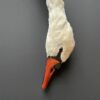 Stuffed mute swan as a still life