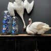 Stuffed mute swan as a still life