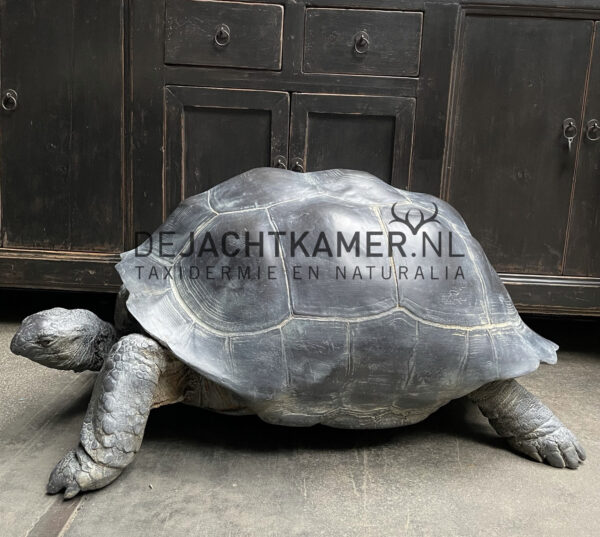 Levensechte replica van een Seychellenreuzenschildpad