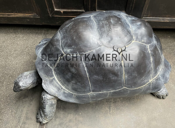 Levensechte replica van een Seychellenreuzenschildpad