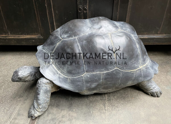 Levensechte replica van een Seychellenreuzenschildpad