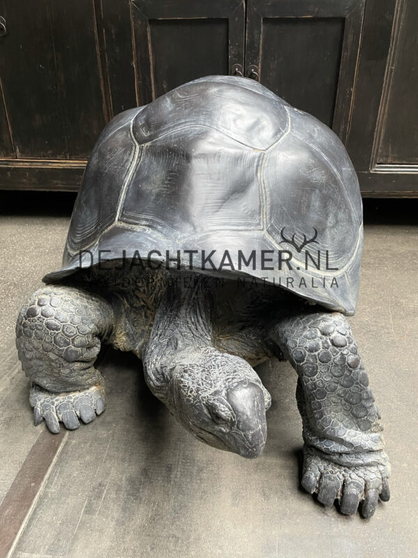 Levensechte replica van een Seychellenreuzenschildpad