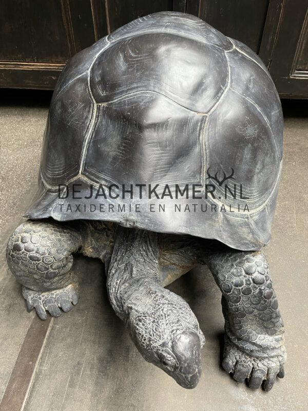 Levensechte replica van een Galapagos schildpad