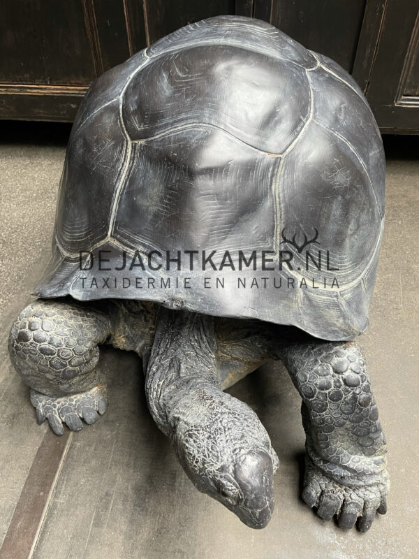 Levensechte replica van een Seychellenreuzenschildpad