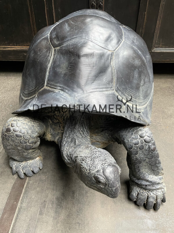 Levensechte replica van een Seychellenreuzenschildpad