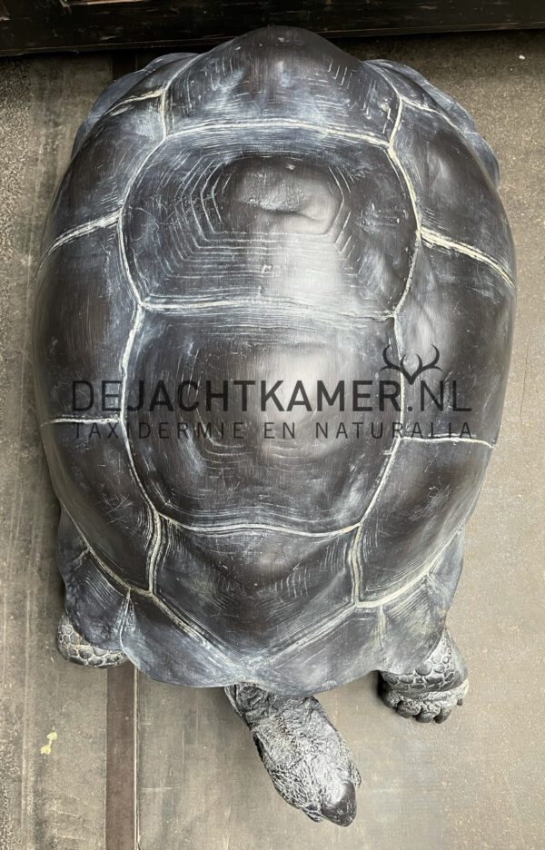 Levensechte replica van een Seychellenreuzenschildpad