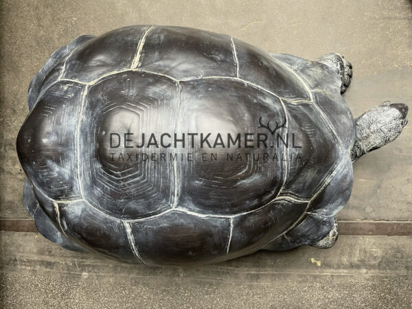 Levensechte replica van een Seychellenreuzenschildpad