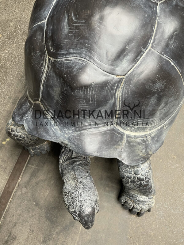 Levensechte replica van een Seychellenreuzenschildpad