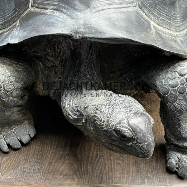 Levensechte replica van een Seychellenreuzenschildpad