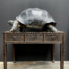 Antique card table with chairs