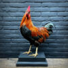 Mounted colorful rooster on black pedestal