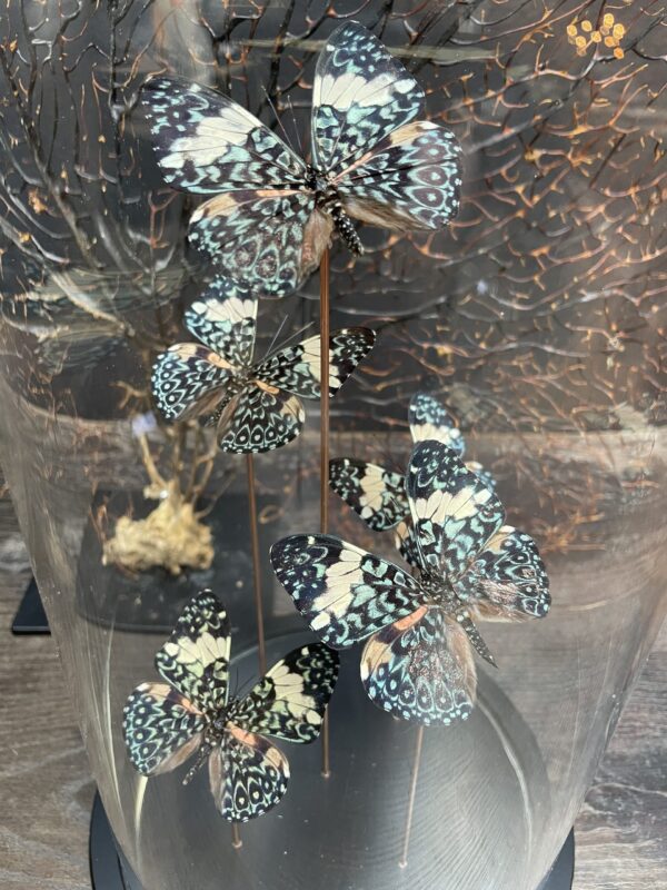 Moderne Glasglocke gefüllt mit Schmetterlingen