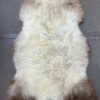 Sheepskin in natural colors