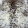 Sheepskin in natural colors