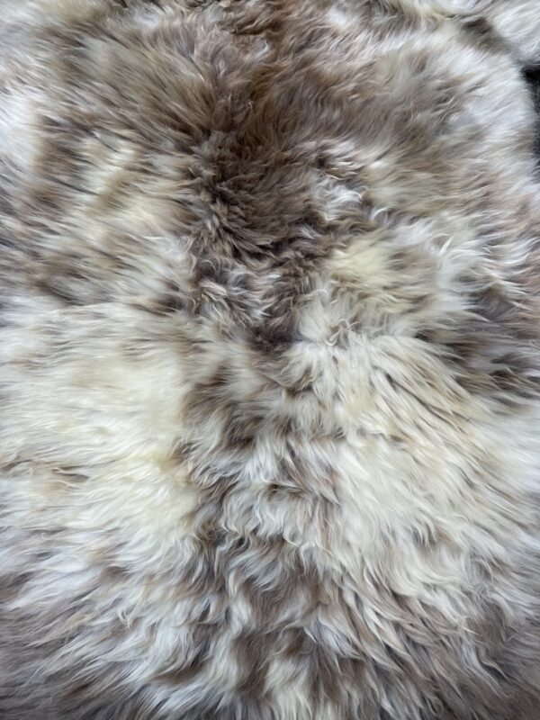 Sheepskin in natural colors