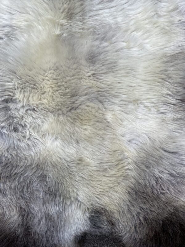 Sheepskin in natural colors