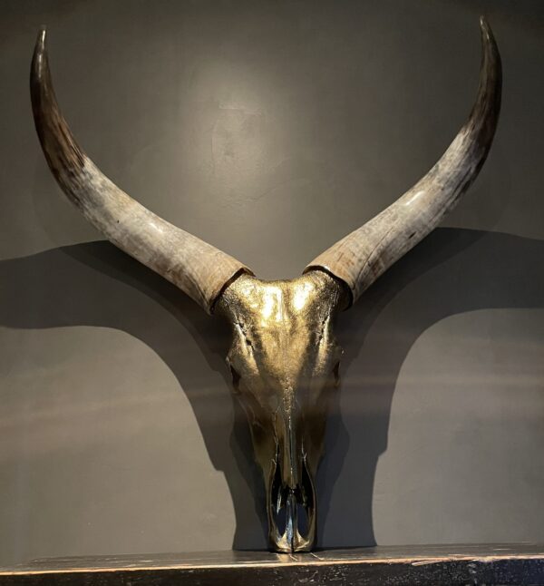 Große brons metallisierte Schädel eines Watusi-Bullen