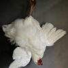 Taxidermy chicken still life