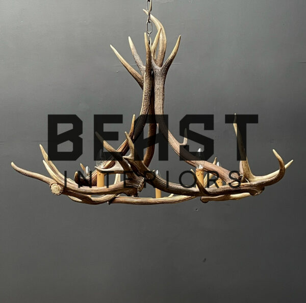 Round antler chandelier of red deer antlers