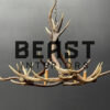 Round antler chandelier of red deer antlers