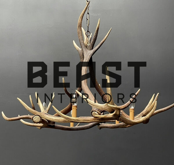 Round antler chandelier of red deer antlers