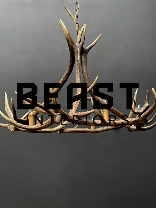 Round antler chandelier of red deer antlers