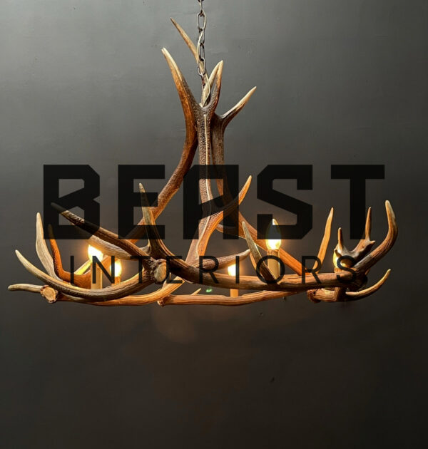 Round antler chandelier of red deer antlers