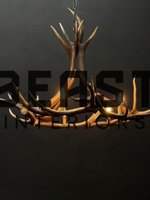 Round antler chandelier of red deer antlers