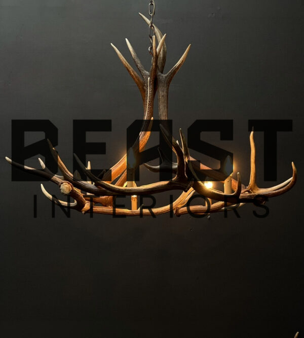 Round antler chandelier of red deer antlers