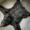 Skin of a black bear XL