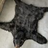 Skin of a black bear XL