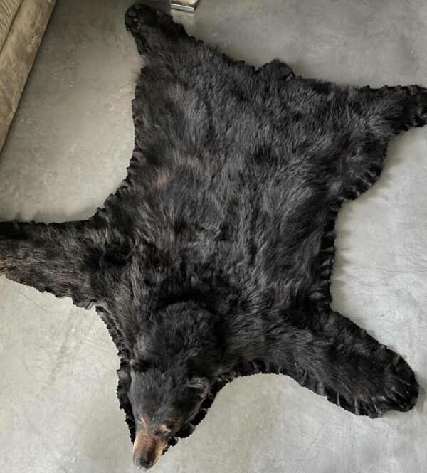 Huid van een zwarte beer XL