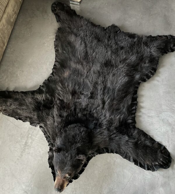 Skin of a black bear XL