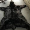 Skin of a black bear XL