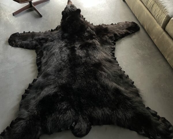 Skin of a black bear XL