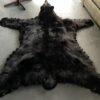 Skin of a black bear XL