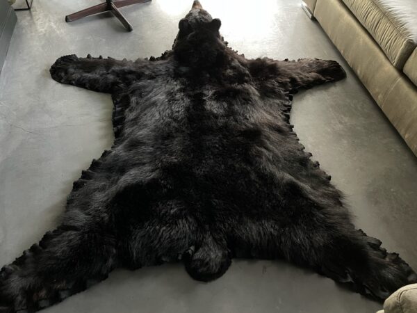 Skin of a black bear XL